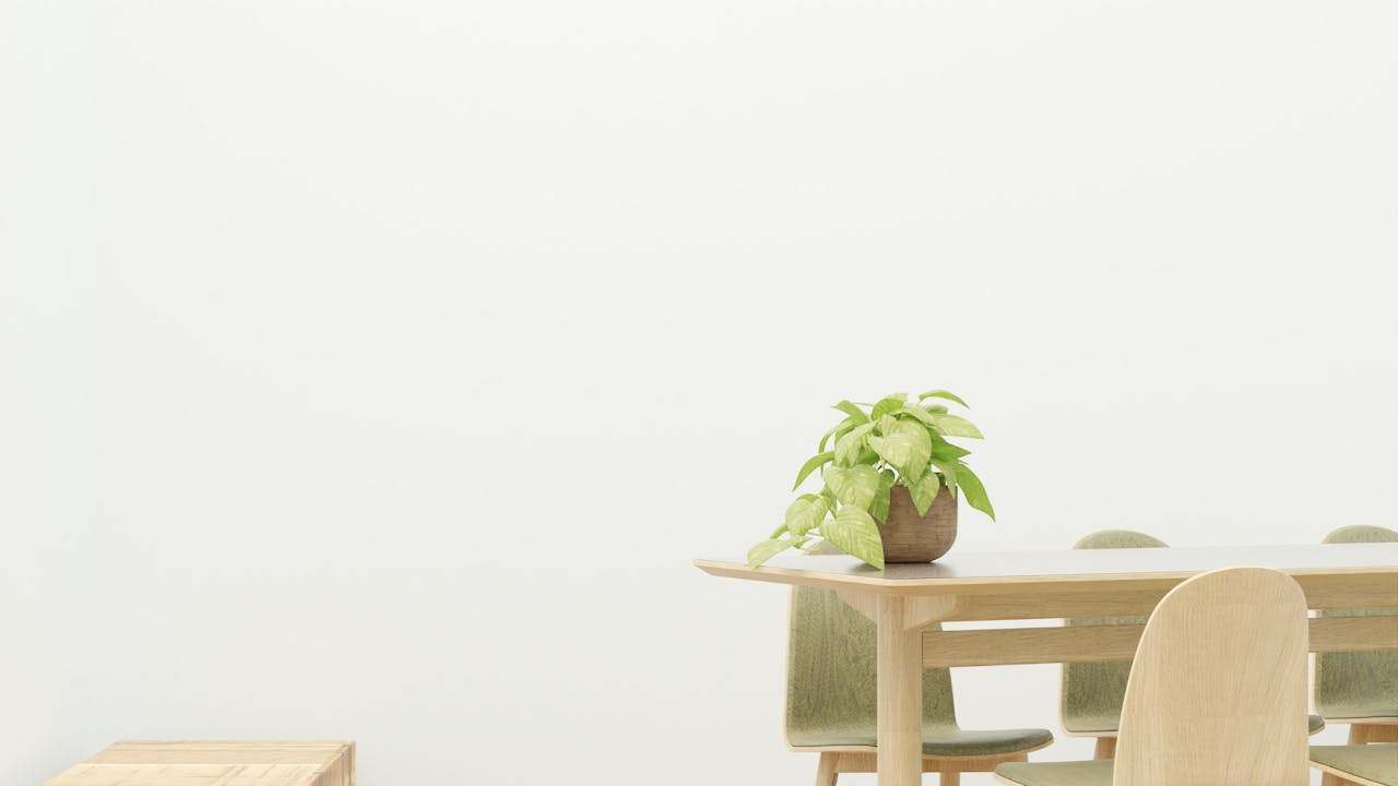 Spacious and modern dining room with wooden furniture and indoor plant.